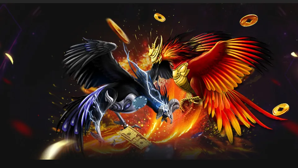 Đá Gà NOHU – Sân Chơi Đỉnh Cao Dành Cho Kê Thủ